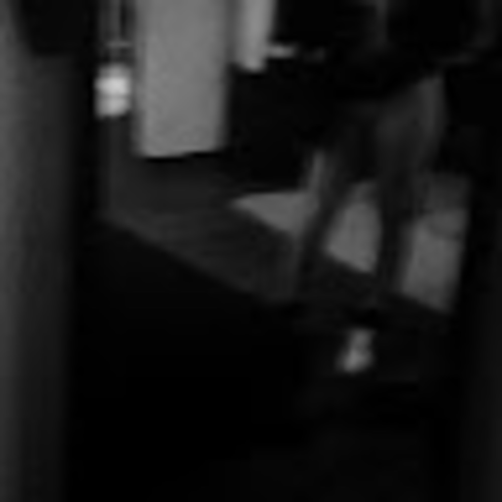 Meet your Posher, Shamelyia